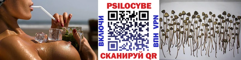 Купить закладки  Красноармейск  Псилоцибиновые грибы Magic Shrooms 